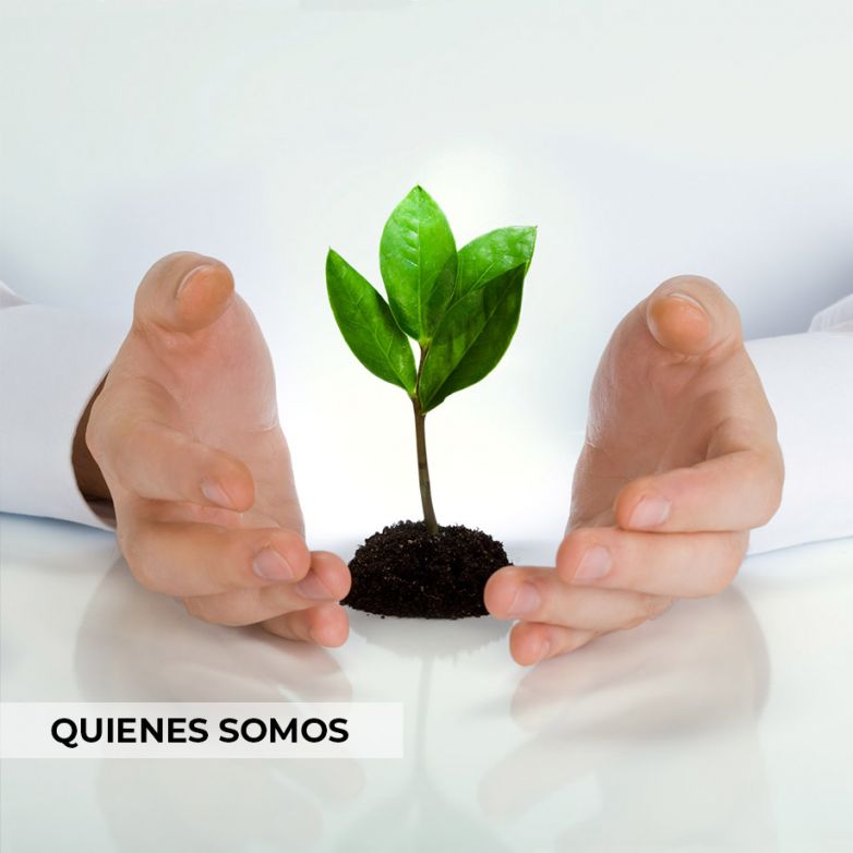 Quienes Somos